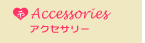 �A�N�Z�T���[